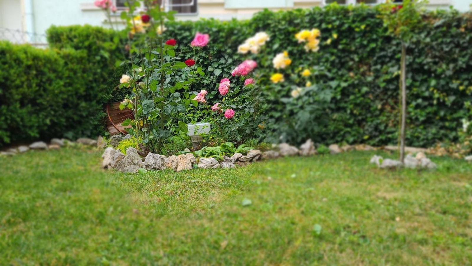 Apartamento Happy Star Ni Exterior foto